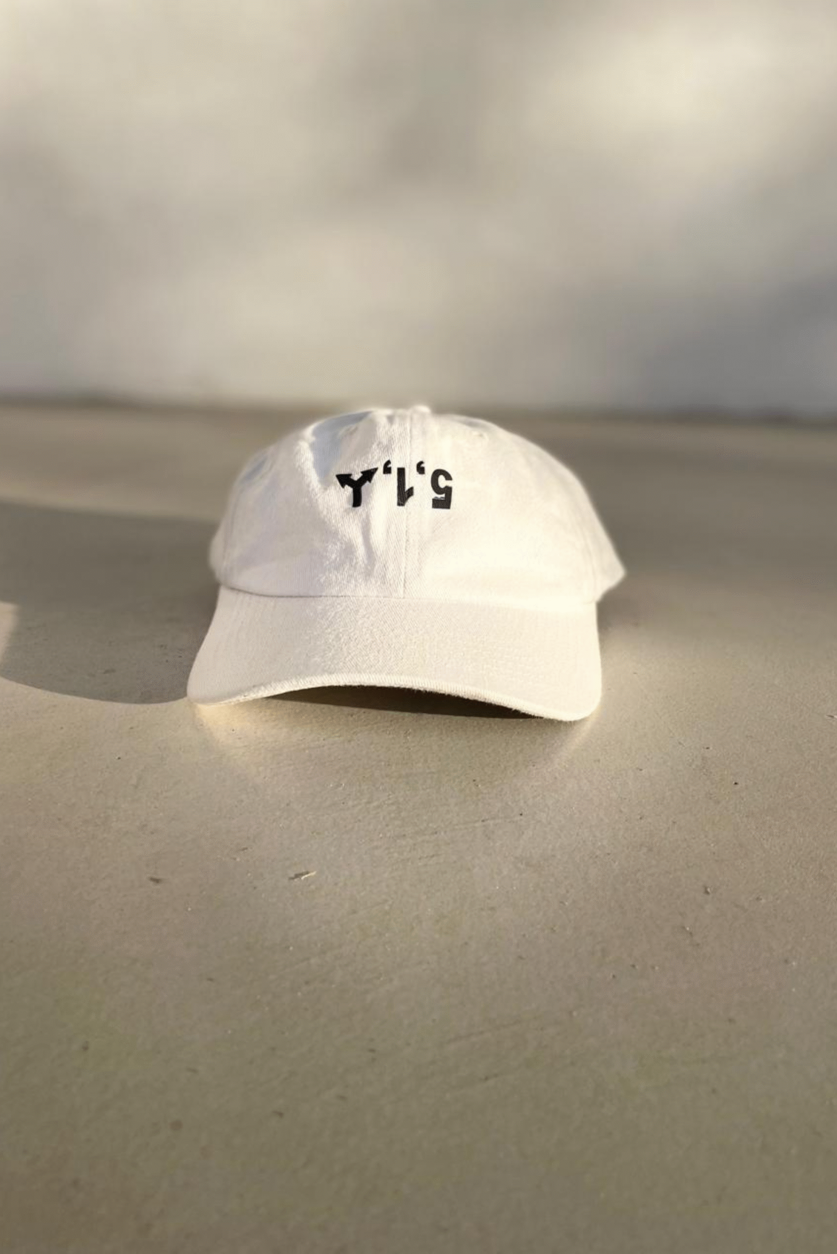 Boné DAD HAT Aba curva 15